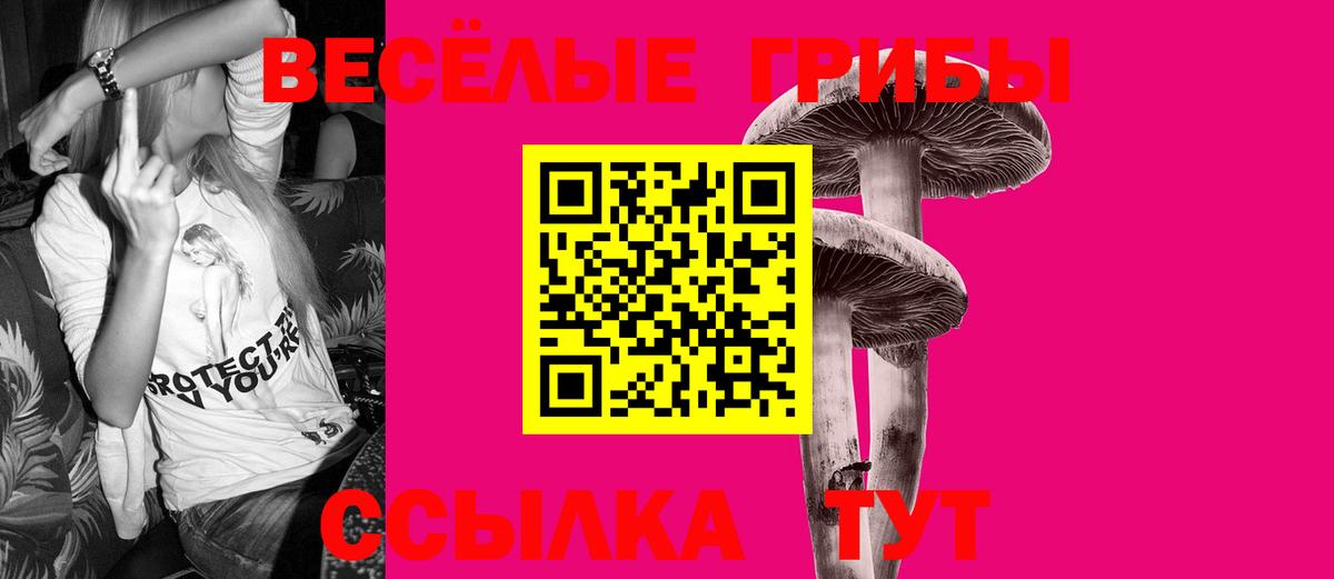 Псилоцибиновые грибы Magic Shrooms  где продают наркотики  Шарыпово  Вход с VPN 