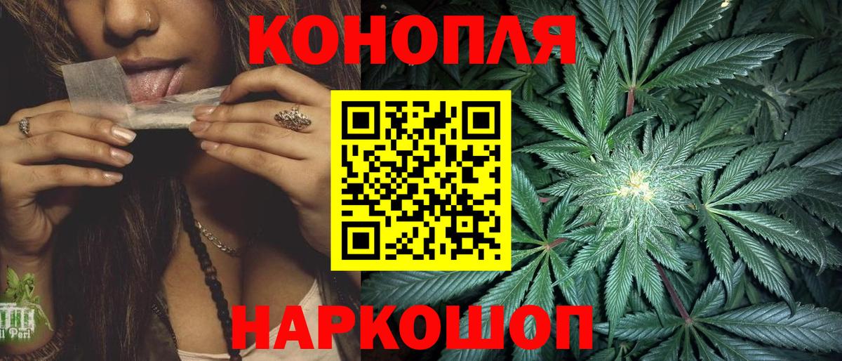 Марихуана сатива Шарыпово